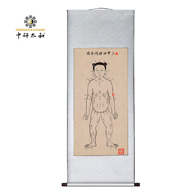 中華伝統医学におけるチと мериディアンという概念を理解するための教材