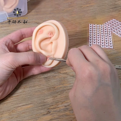 100個の天然耳介王不留行種子と注意点による効果的なヘルスケア相談