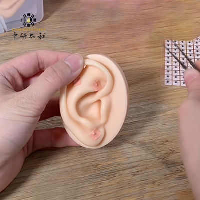 冷蔵条件 袋あたり1600個 使い捨てバッカリア耳種 治療用品