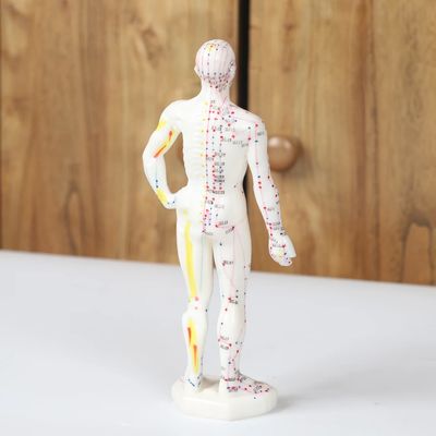 現実的な针刺術モデル 針の安全性のための詳細な体