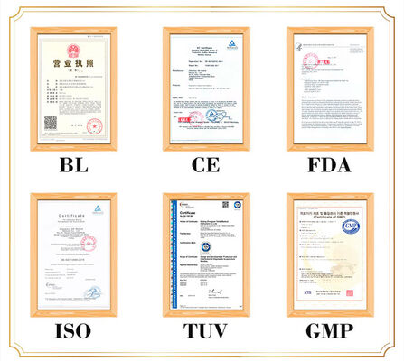 人体 の 詳細 な リアル な 表現 治療 身体 の モデル 携帯 軽量 な 輸送 容易 な 医療 指導 用