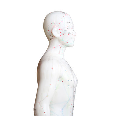 多用性 様々な针刺術 体重約5kg