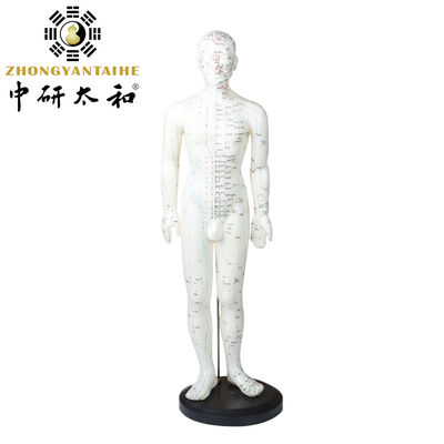多用性 様々な针刺術 体重約5kg