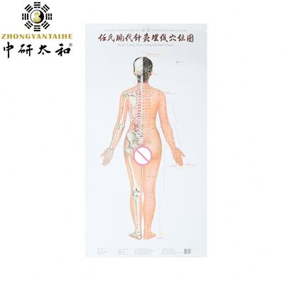 個別化 針刺術 文化 針刺術 を 用い て 体 の 自然 な 癒し 能力 を 利用 する