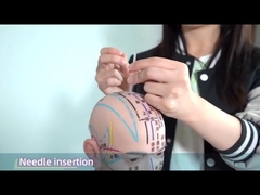 ホワト耳の针頭 圧迫針 血流を効果的に促進する 0.22*1.5mm